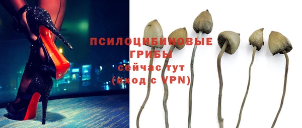 ПСИЛОЦИБИНОВЫЕ ГРИБЫ Абинск